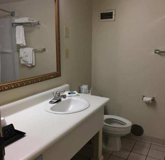 Номер Стандарт, Econo Lodge Inn & Suites Radfordblacksburg Area