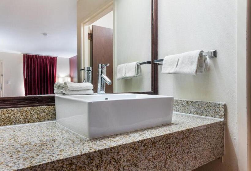 Номер Deluxe, Red Roof Inn Texarkana