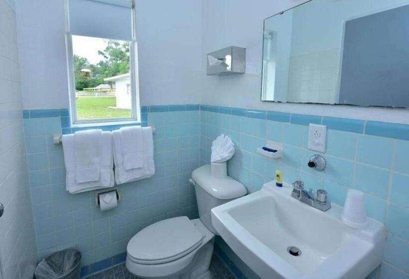 Номер Deluxe Кровать Кинг, Sun Plaza Motel