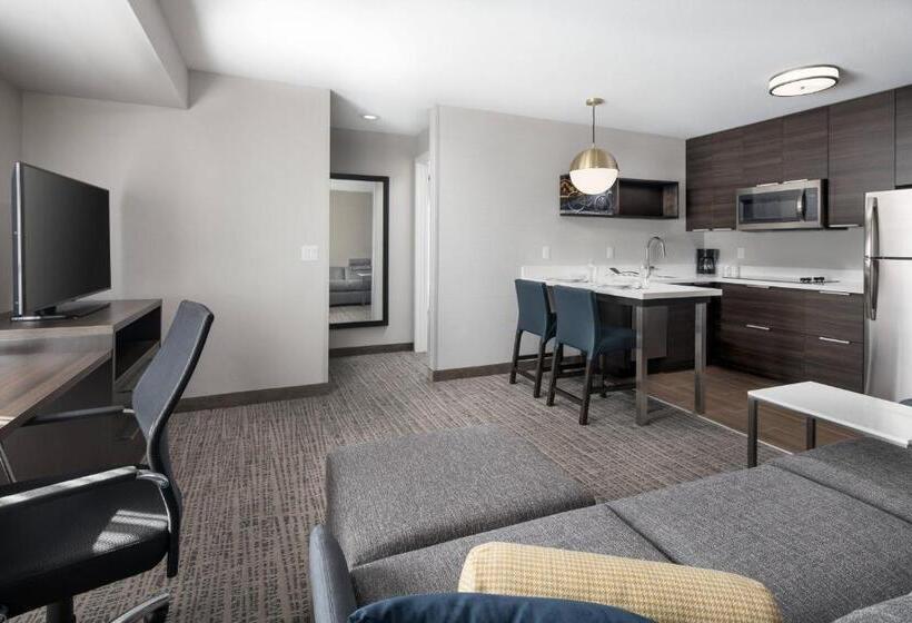 Люкс Кровать Кинг, Residence Inn By Marriott Milwaukee Brookfield At Poplar Creek