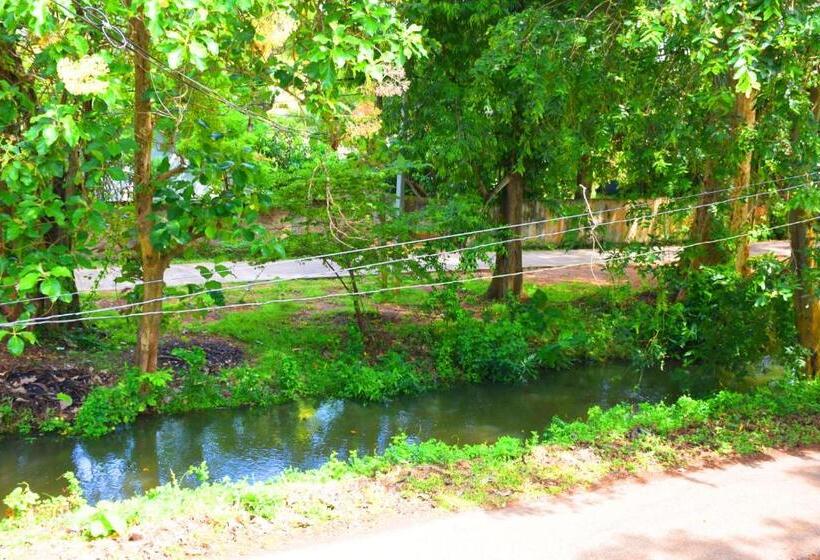 스탠다드 룸, Sasanda Villa And Yala Safari Place