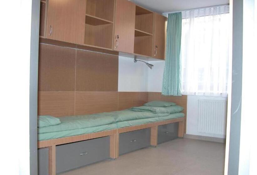 标准间, Springfield Private Hostel