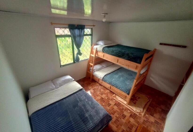 스탠다드 룸, Hostal Pachanuna