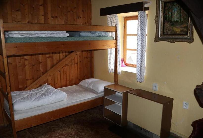 스탠다드 4인용 룸 공용 욕실, Tvrz Holešice Orlická Přehrada, Penzion