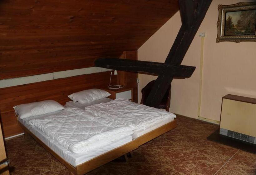 스탠다드 4인용 룸 공용 욕실, Tvrz Holešice Orlická Přehrada, Penzion