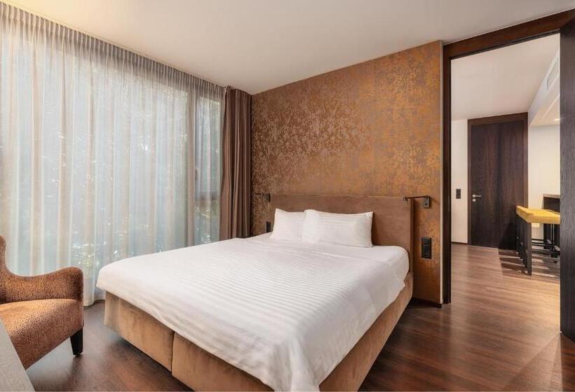 Полулюкс, B Smart Hotel Widnau