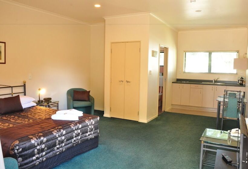 Студия Стандарт, O Reillys Motel