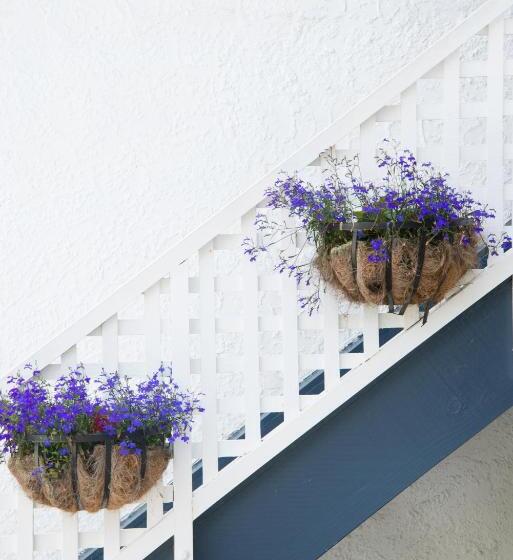 استودیوی لوکس, Waimarie On Riverside Motel & Apartments