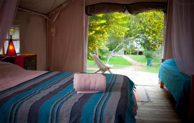 Standard Tent, Pueblo Barrancas