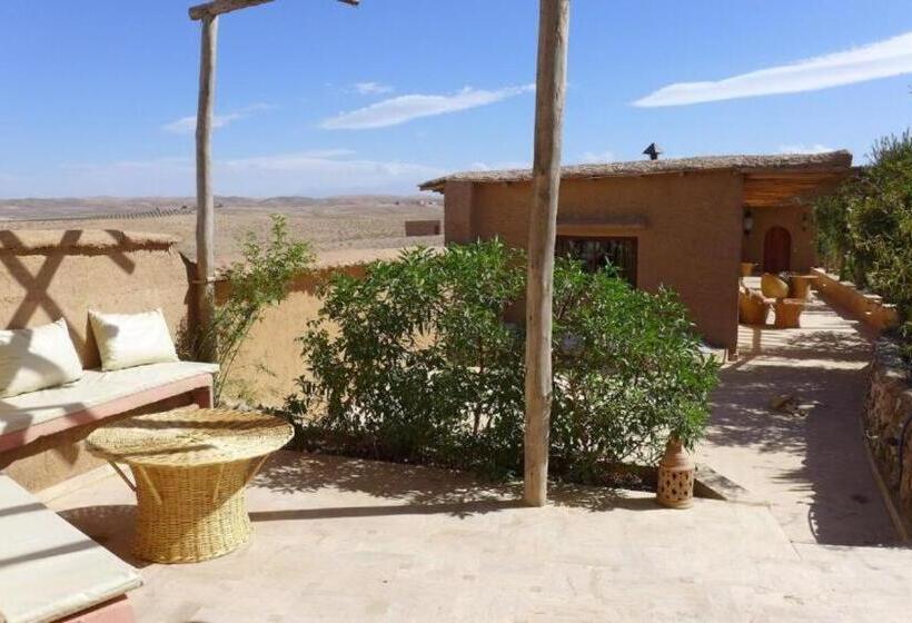 Номер Стандарт, Les Dunes De Guemassa