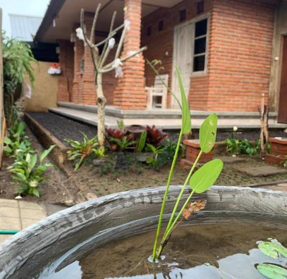 스탠다드 룸, Ambara Guest House