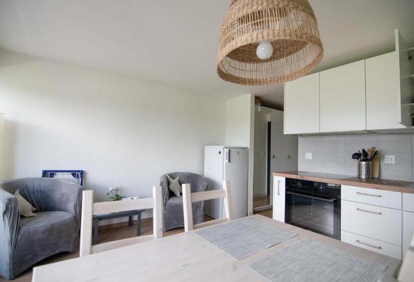 Апартаменты 1 Спальня с Балконом, B&b Mont Crosin