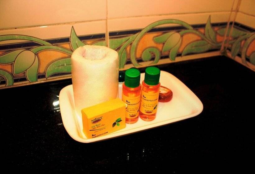 اتاق لوکس, Fabhotel Royal Palace Inn   Lal Mahal
