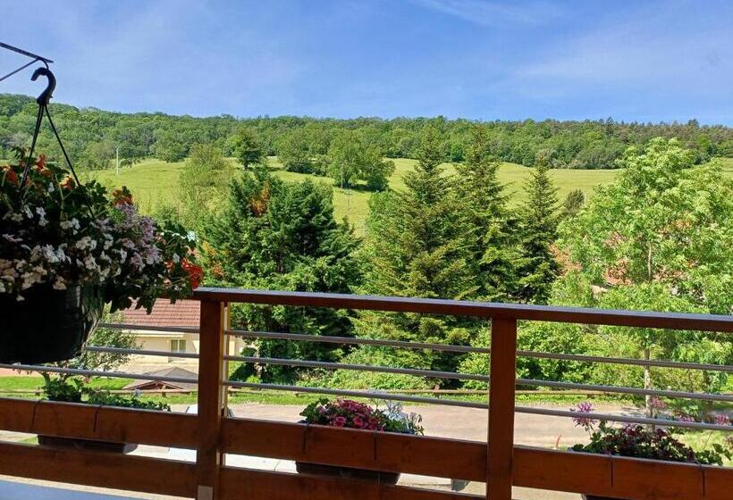 Люкс Повышенной Комфортности, Bélénos   Suites & Spa