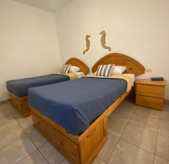 غرفة قياسية, Ravenala Paracas Hostel
