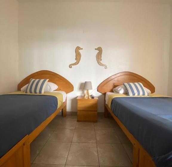 Номер Стандарт, Ravenala Paracas Hostel