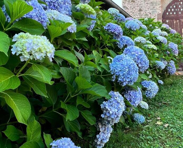 豪华房间, Le Manoir De Jasmine