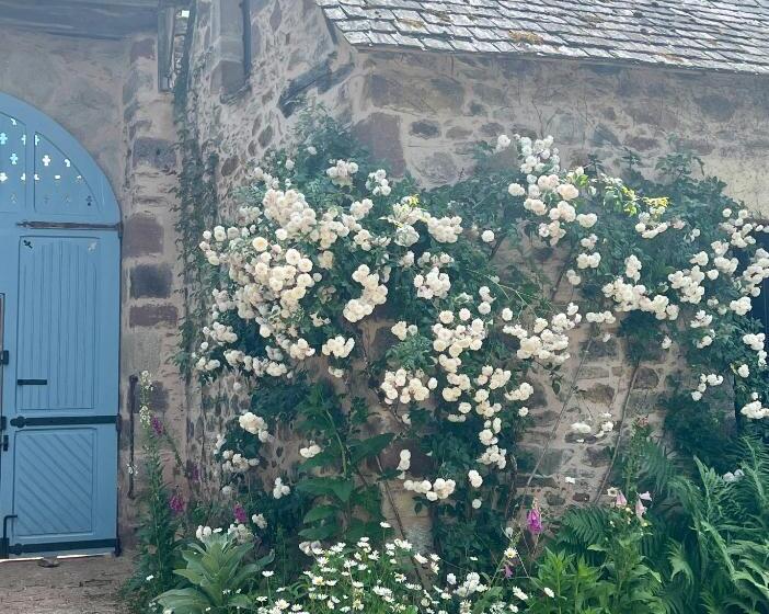 豪华房间, Le Manoir De Jasmine