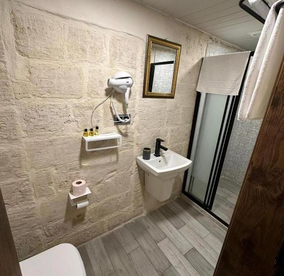 اتاق لوکس, Sılto S Butik Otel