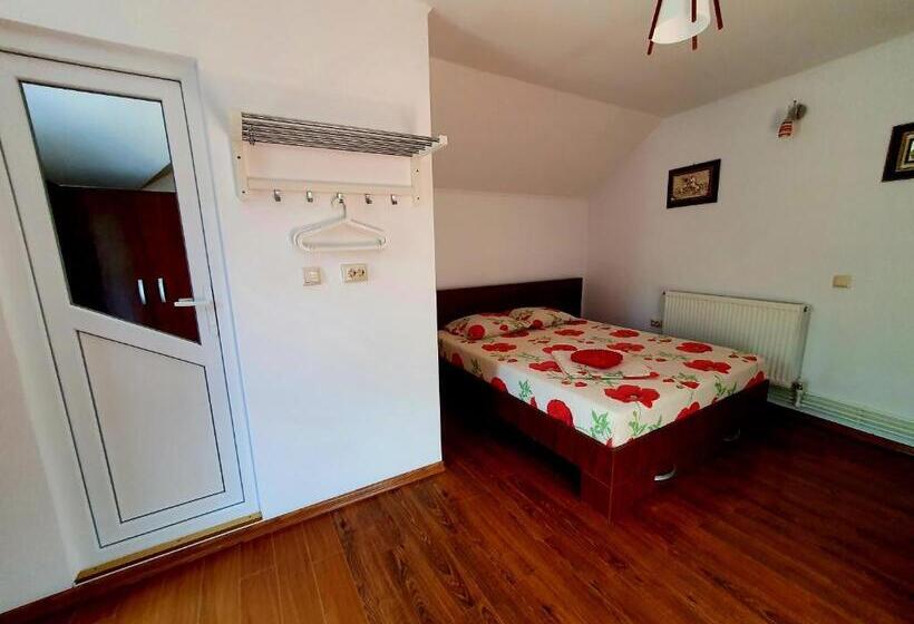 스탠다드 룸, Casa Viselor De Vară