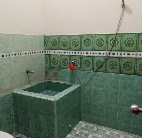 اتاق استاندارد, Thalia Guesthouse Ijen   Bromo & Sukamade Tour