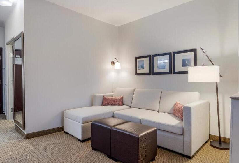 Люкс, Comfort Suites