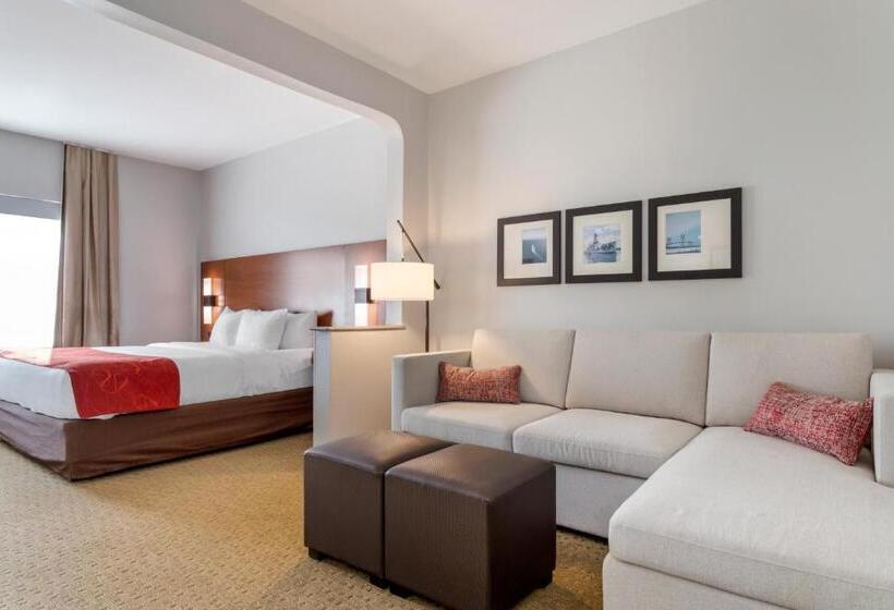 Люкс Адаптированный для Инвалидов, Comfort Suites