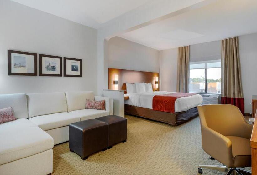 Люкс Адаптированный для Инвалидов, Comfort Suites