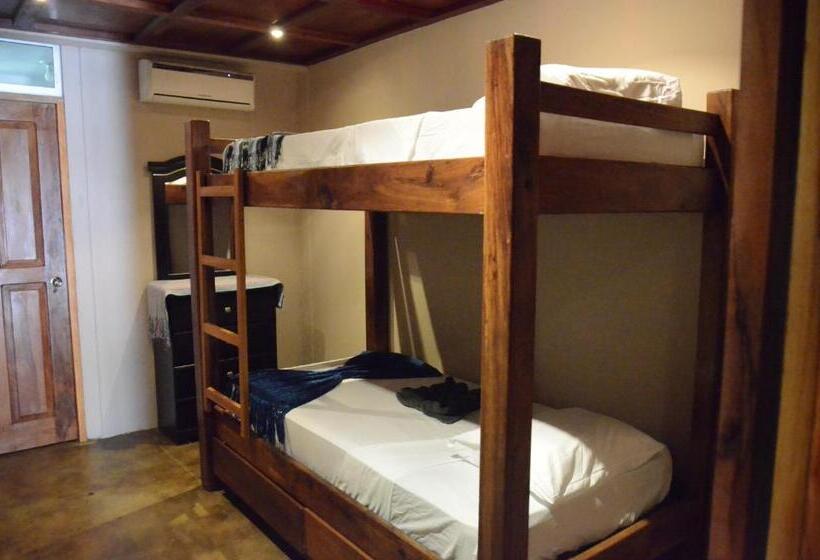 Номер Стандарт, Nuestra Casa
