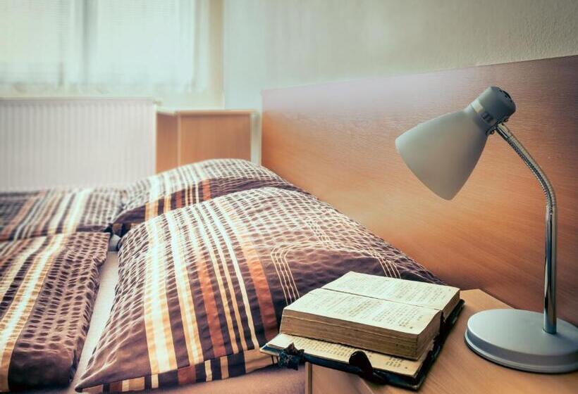 Quarto Estandar, Zannam