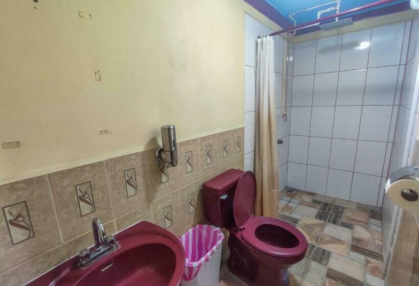 חדר אקונומי, Fuente De Paz Managua
