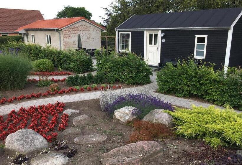 Апартаменты 1 Спальня, Birkende Bed And Breakfast