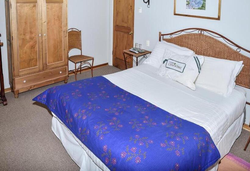 Cameră Standard, Hostal Cepa Noble