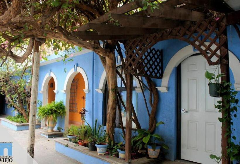 スイート, Hacienda Del Viejo