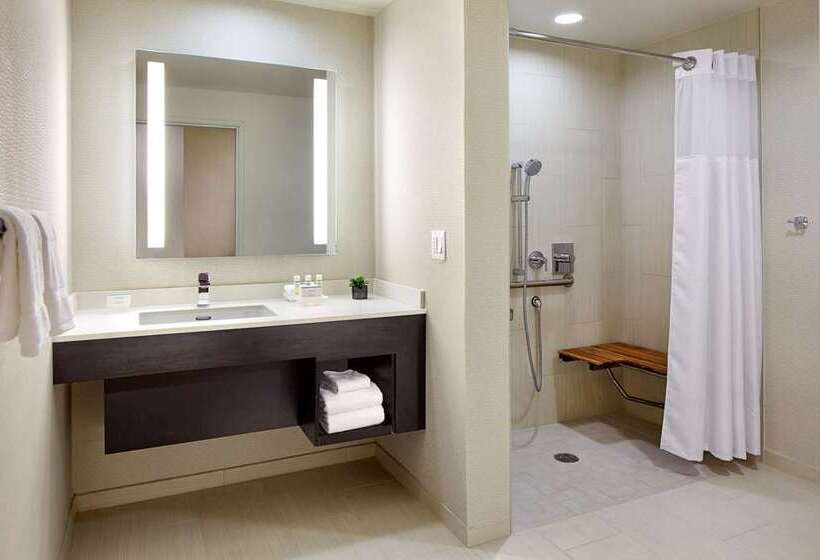 Suite, Home2 Suites By Hilton Dallas Addison