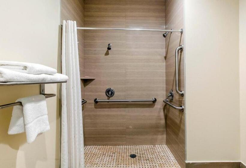 اتاق لوکس خانوادگی, Econo Lodge Inn & Suites Houston Willowbrook