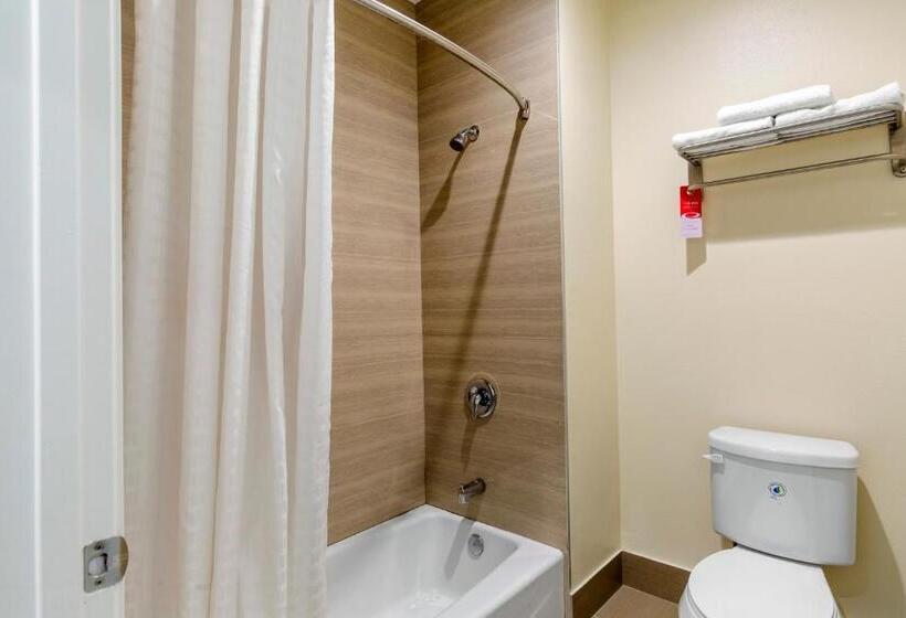 سوئیت با تخت بزرگ, Econo Lodge Inn & Suites Houston Willowbrook