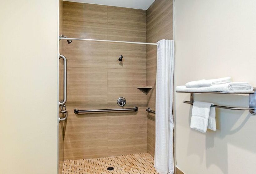 سوئیت برای معلولان, Econo Lodge Inn & Suites Houston Willowbrook