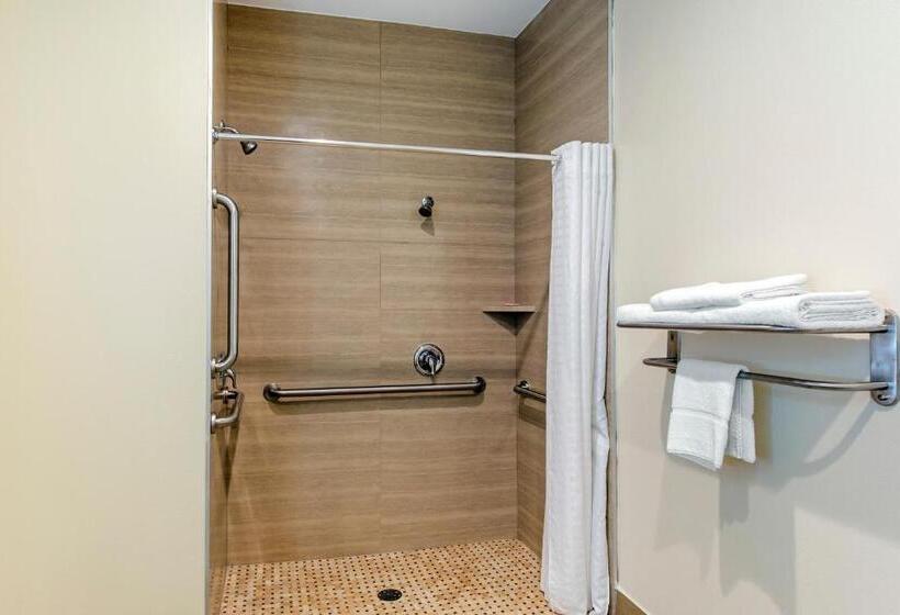 اتاق لوکس خانوادگی, Econo Lodge Inn & Suites Houston Willowbrook