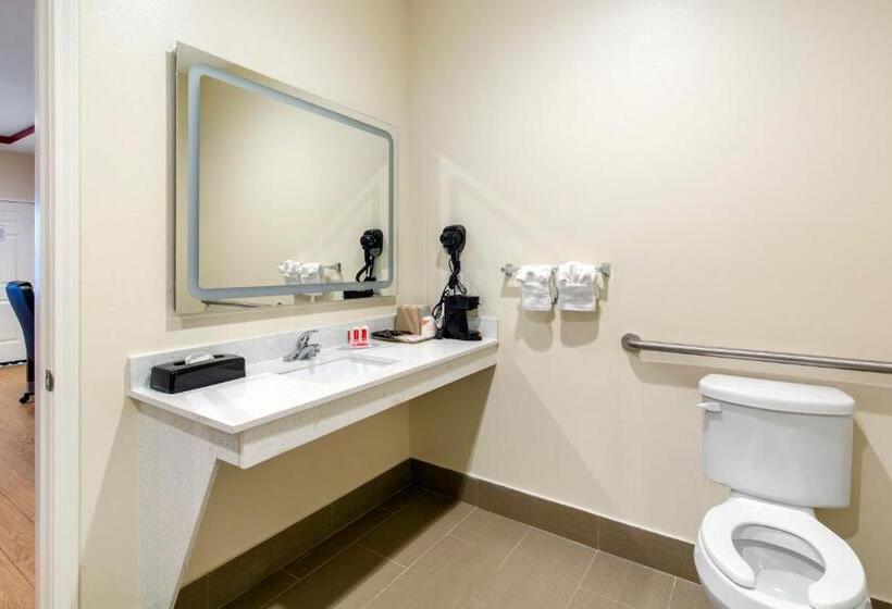 اتاق لوکس خانوادگی, Econo Lodge Inn & Suites Houston Willowbrook