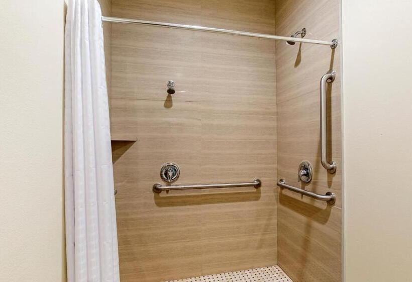 سوئیت با تخت بزرگ, Econo Lodge Inn & Suites Houston Willowbrook