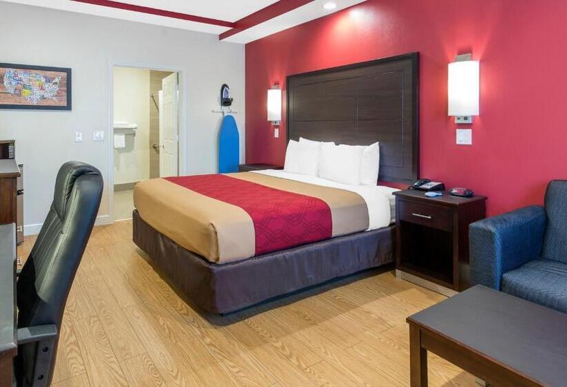 سوئیت با تخت بزرگ, Econo Lodge Inn & Suites Houston Willowbrook