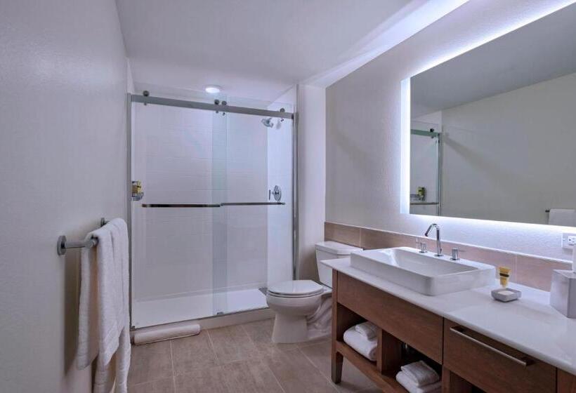 Люкс Executive Кровать Кинг, Element Palmdale