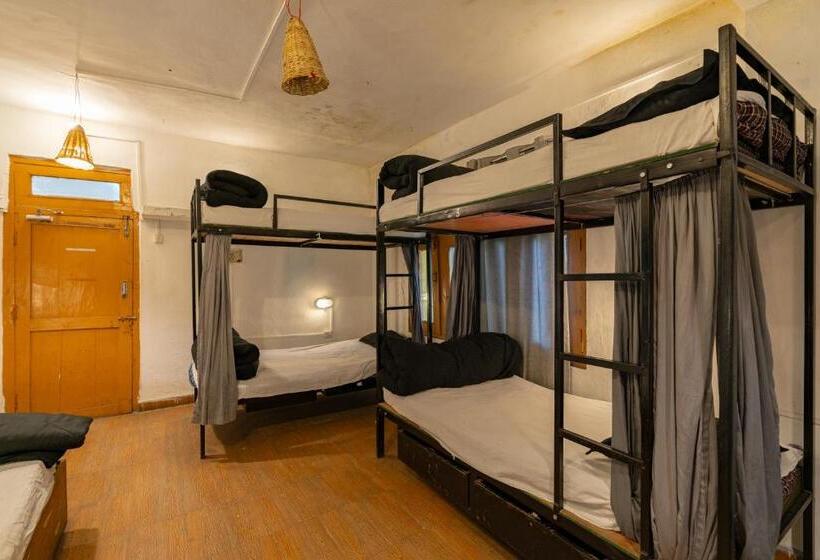 공동 객실, Nomads Hostel