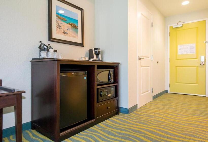 스탠다드 룸 킹사이즈 침대, Edge Hotel Clearwater Beach