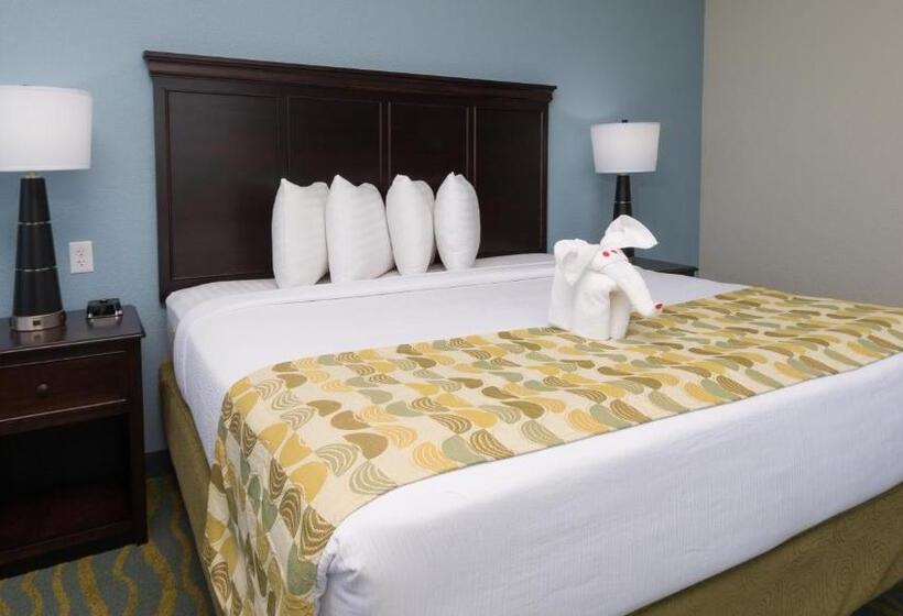 스탠다드 전망 룸, Edge Hotel Clearwater Beach
