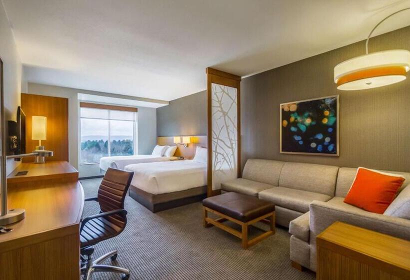 Номер Стандарт Верхний Этаж, Hyatt Place Blacksburg/university