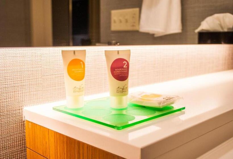 Номер Стандарт Адаптированный для Инвалидов, Hyatt Place Blacksburg/university