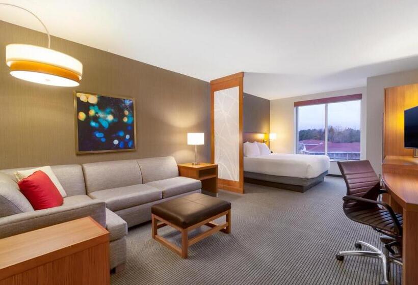 Стандартный Номер Кровать Кинг, Hyatt Place Blacksburg/university
