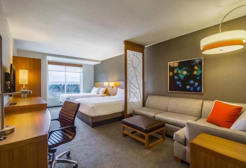 Номер Стандарт Двуспальная Кровать, Hyatt Place Blacksburg/university